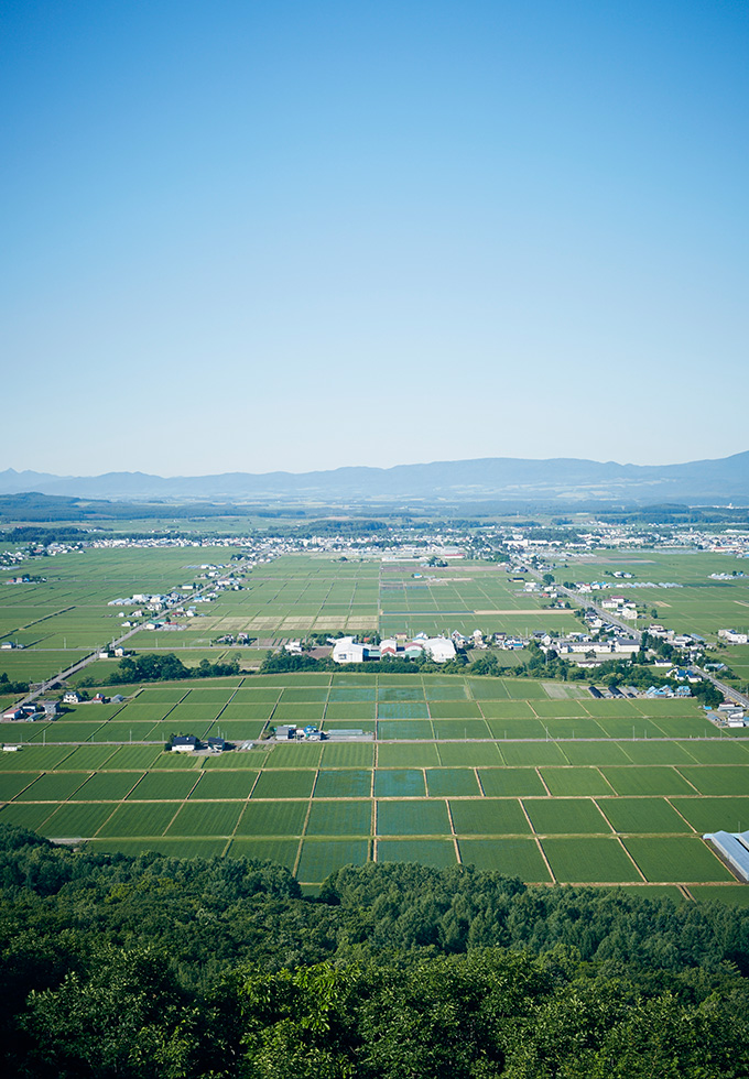 東川町を俯瞰で撮影した写真。夏の田園風景